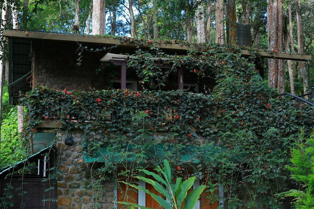 Greenspaces B&B Муннар Экстерьер фото