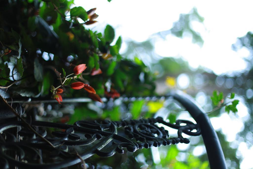 Greenspaces B&B Муннар Экстерьер фото