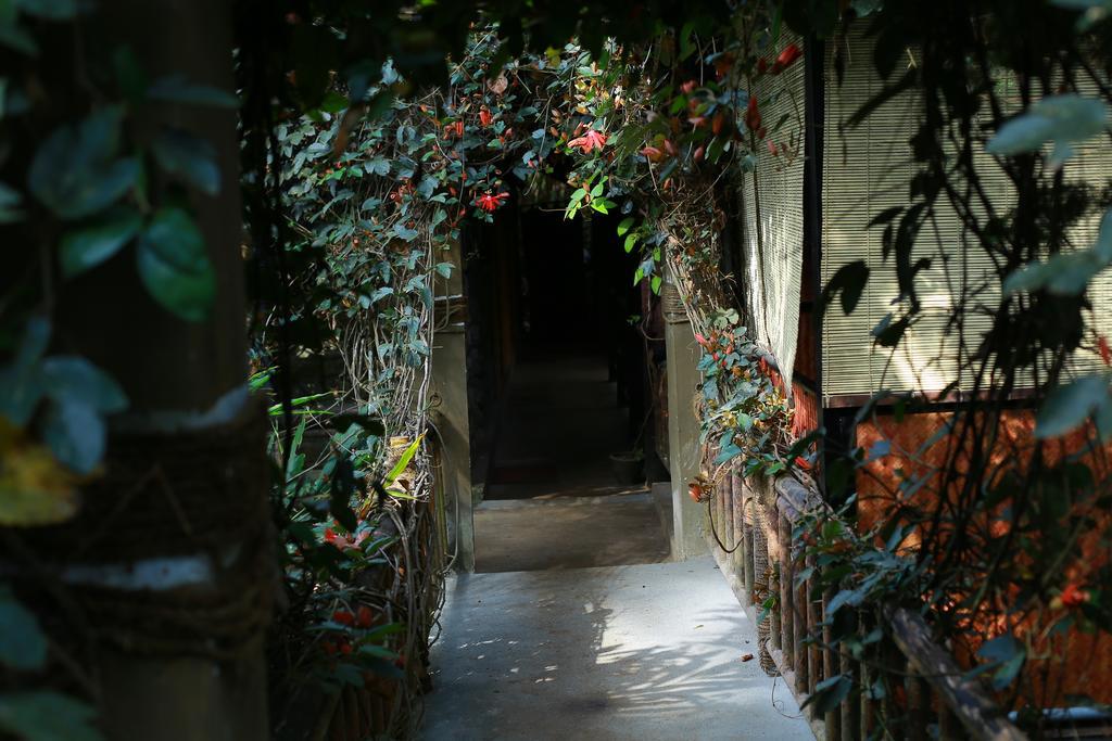 Greenspaces B&B Муннар Экстерьер фото