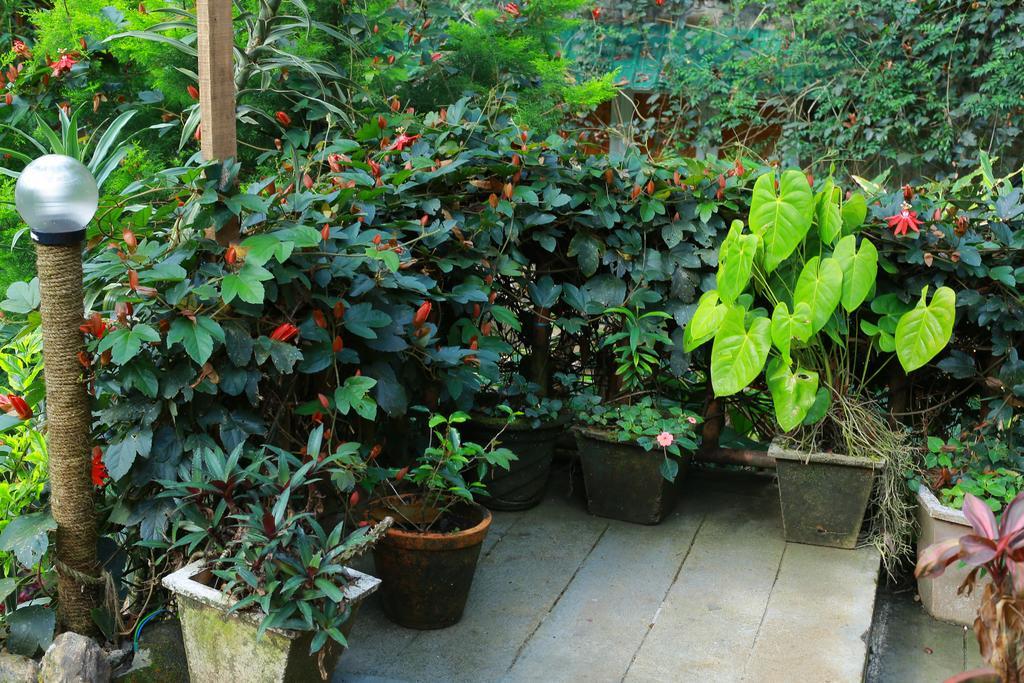 Greenspaces B&B Муннар Экстерьер фото