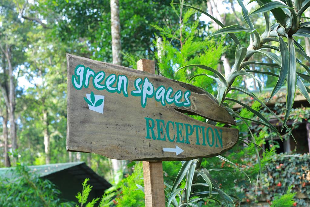 Greenspaces B&B Муннар Экстерьер фото