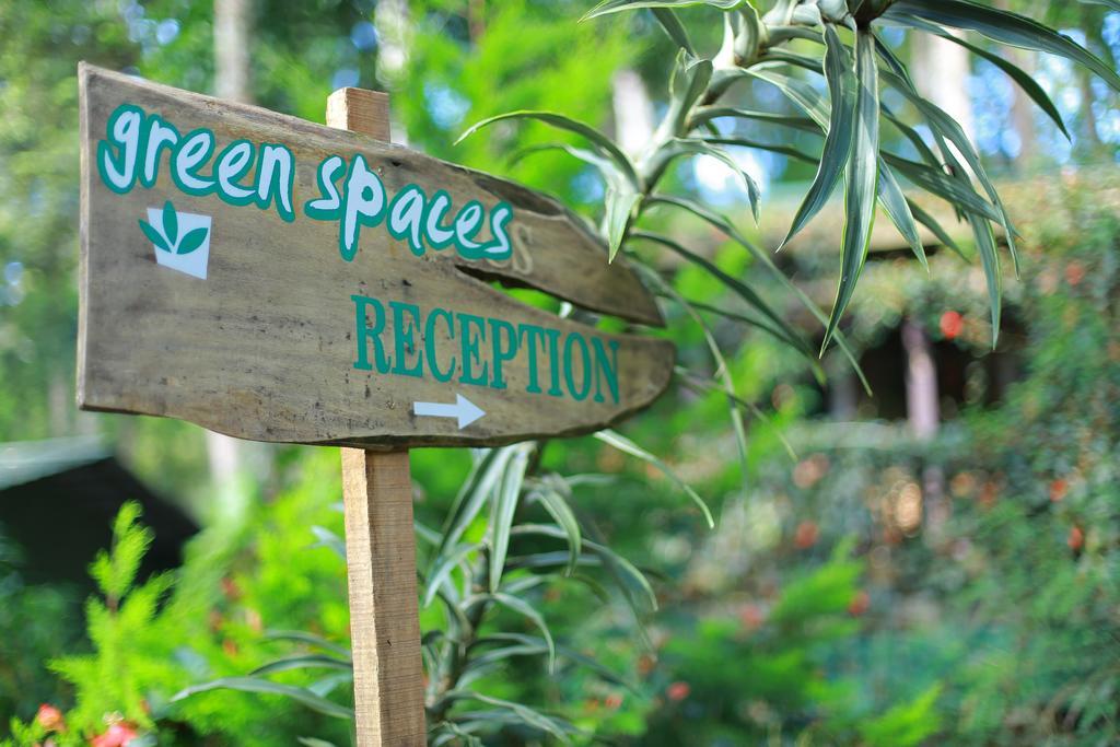 Greenspaces B&B Муннар Экстерьер фото