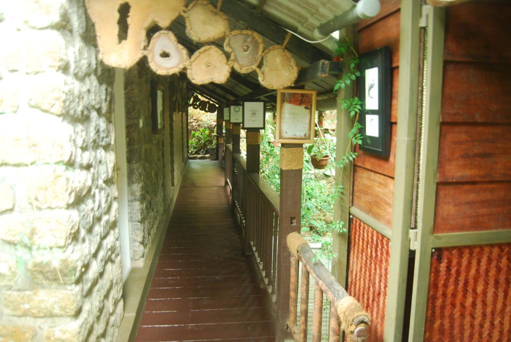Greenspaces B&B Муннар Экстерьер фото